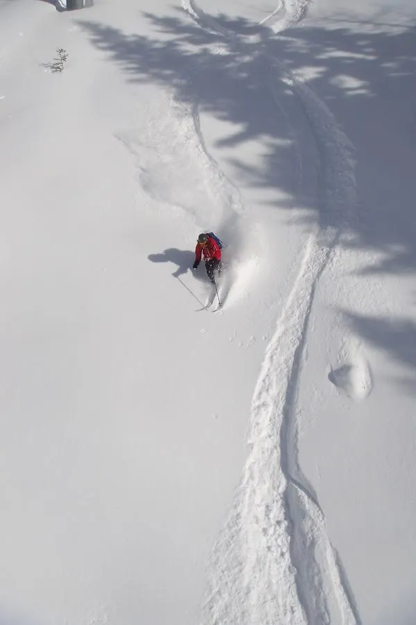 Ski Breezy Chalet Chamonix