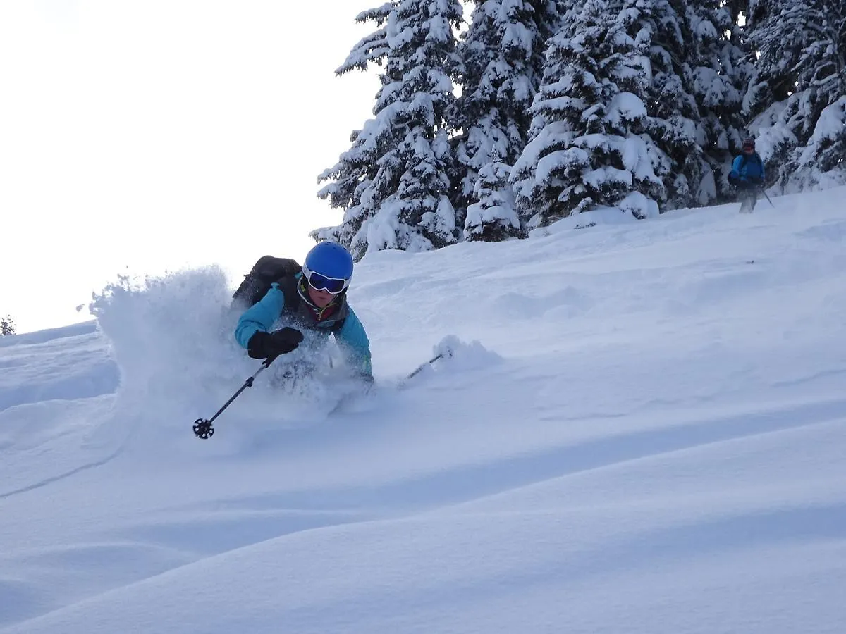 Ski Breezy Chalet Chamonix